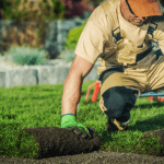 How To Start Landscaping Business 