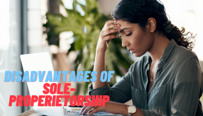 What are the Disadvantages of a Sole Proprietorship